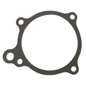 Sierra Water Pump Gasket
