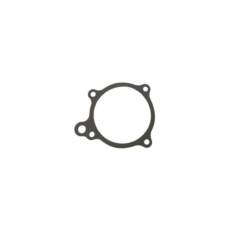 Sierra Water Pump Gasket