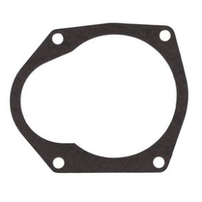 Sierra Water Pump Gasket