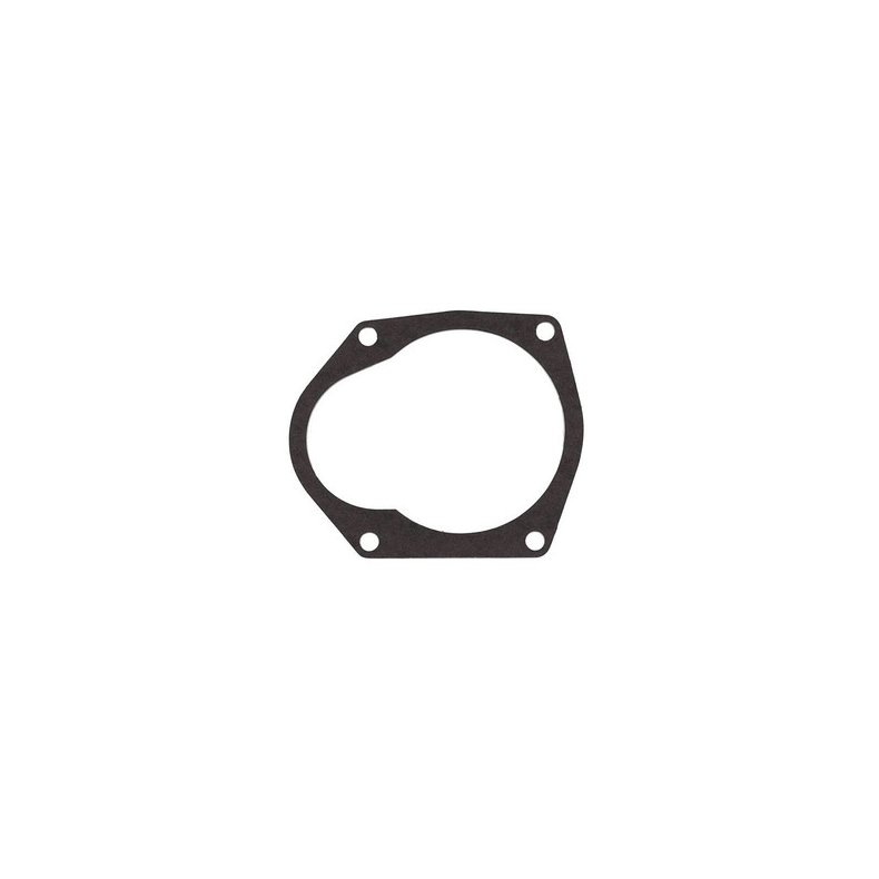 Sierra Water Pump Gasket