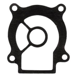 Sierra Water Pump Gasket