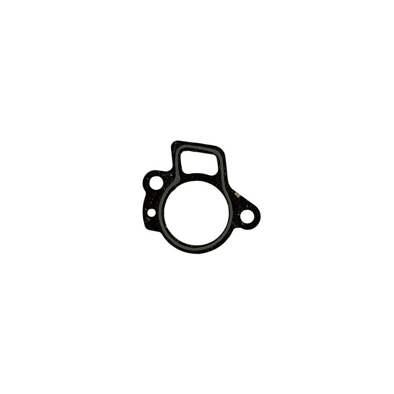 Sierra Thermostat Gasket