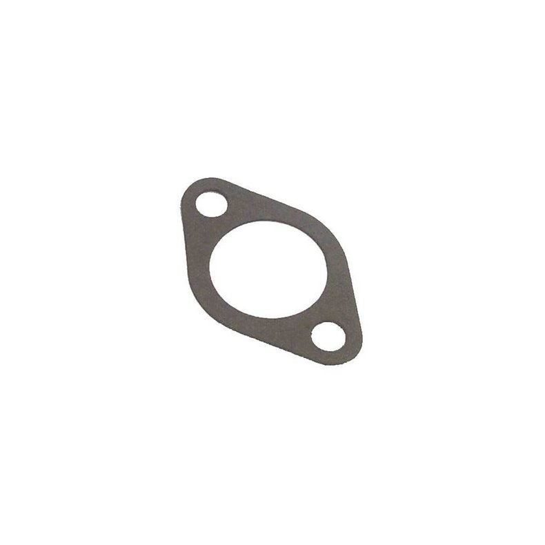 Sierra Water Pump Gasket