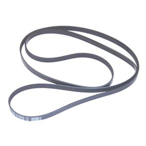 Sierra Serpentine Belt