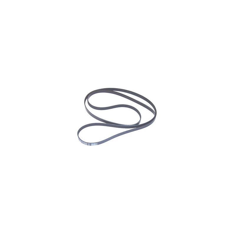 Sierra Serpentine Belt