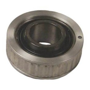 Sierra Gimbal Bearing