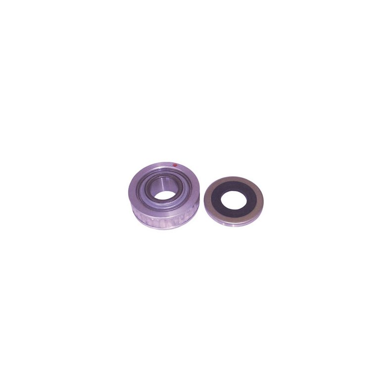 Sierra Seal &amp; Bearing Kit