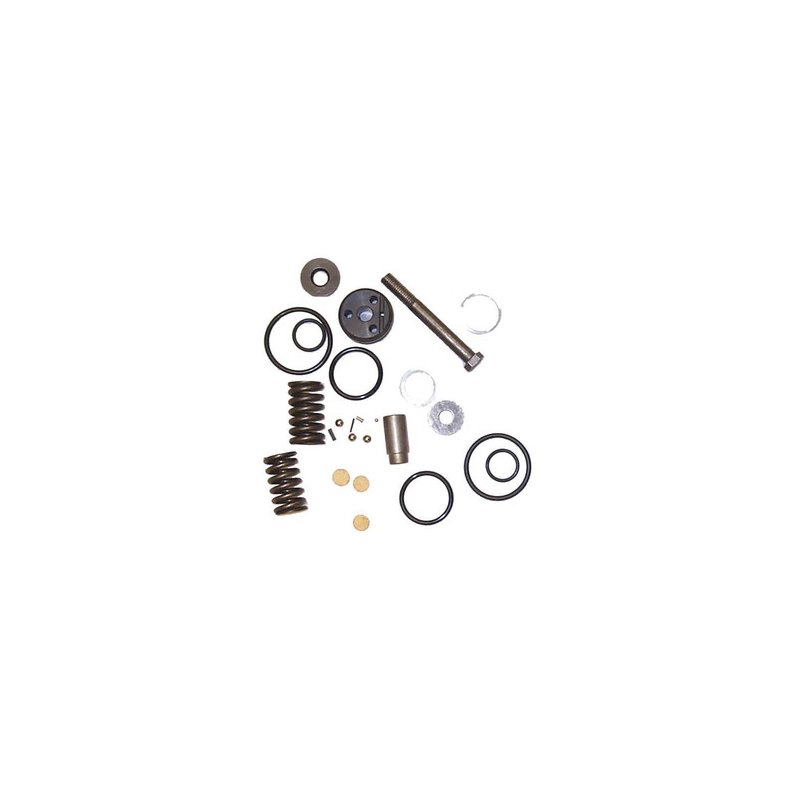 Sierra Trim Cylinder Repair Kit