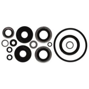 Sierra Lower Unit Seal Kit