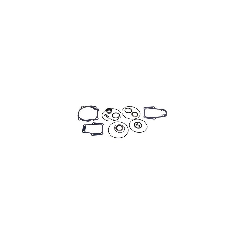 Sierra Lower Unit Seal Kit