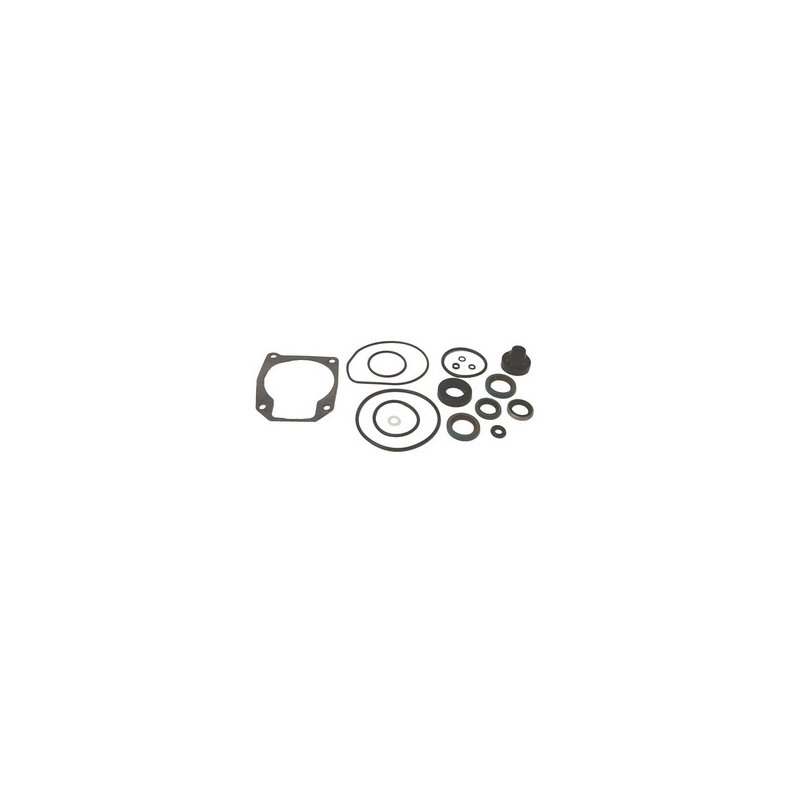 Sierra Lower Unit Seal Kit