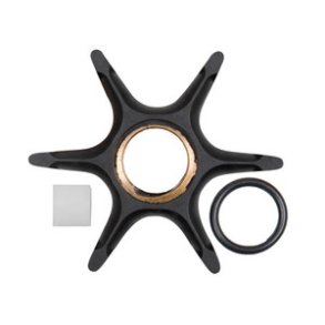Sierra Impeller Evinrude