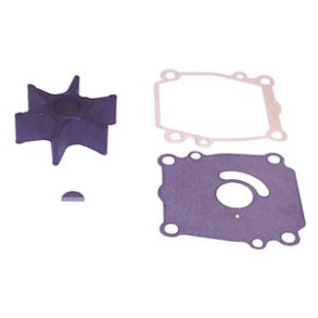 Sierra Water Pump Kit