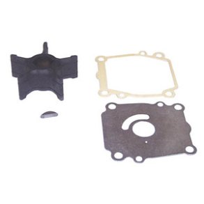 Sierra Water Pump Kit