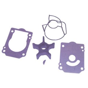 Sierra Water Pump Kit