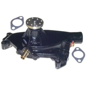 Sierra Circulating Water Pump
