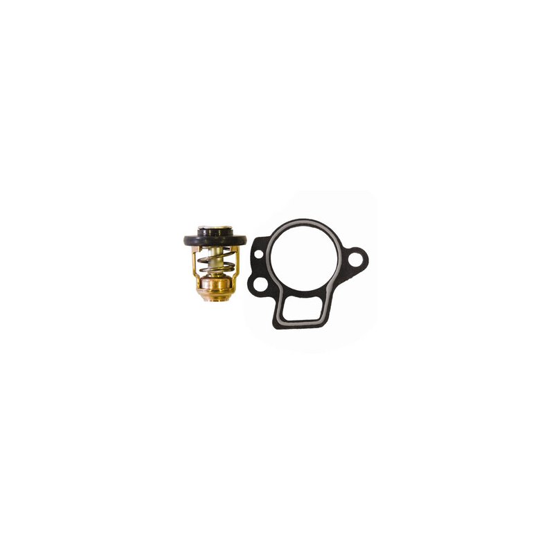 Sierra Thermostat Kit