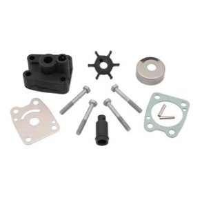 Sierra Water Pump Kit, Complete