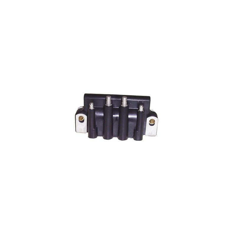 Sierra Ignition Coil