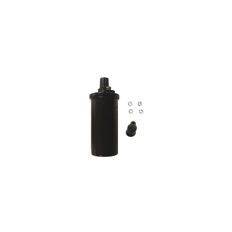 Sierra Ignition Coil