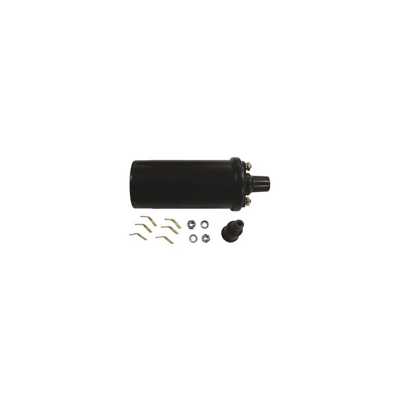 Sierra Ignition Coil