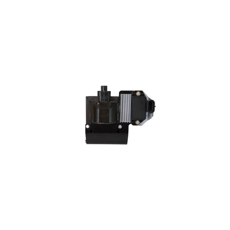 Sierra Ignition Coil