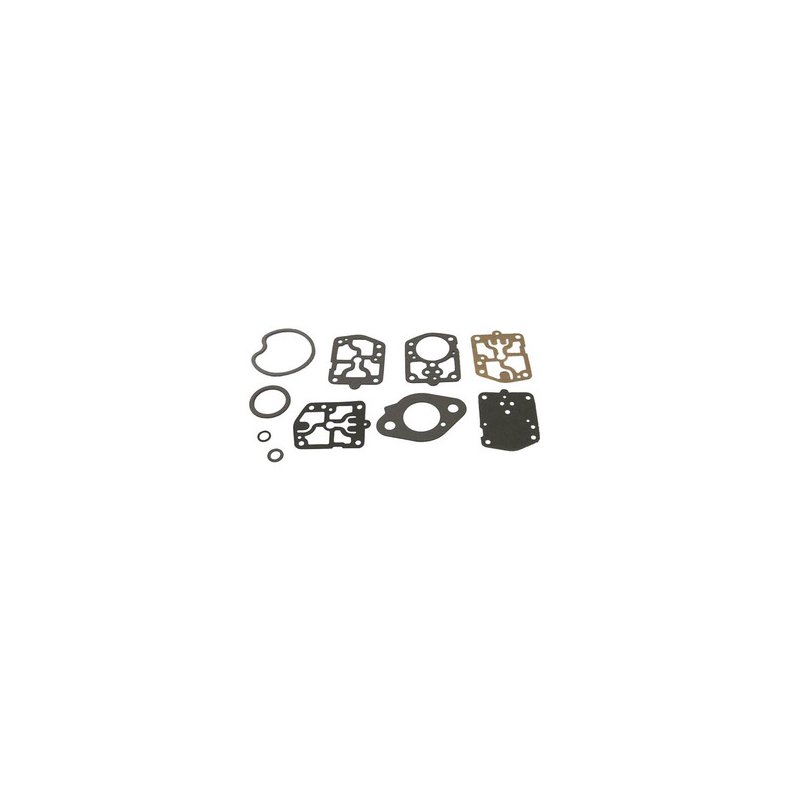 Sierra Carburetor Kit