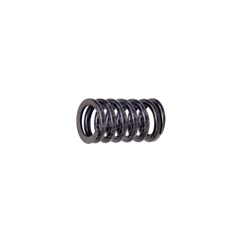 Orbitrade Valve spring