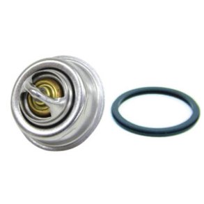 Orbitrade Termostat 60gr.2001,2002,2003 Salt.v.k