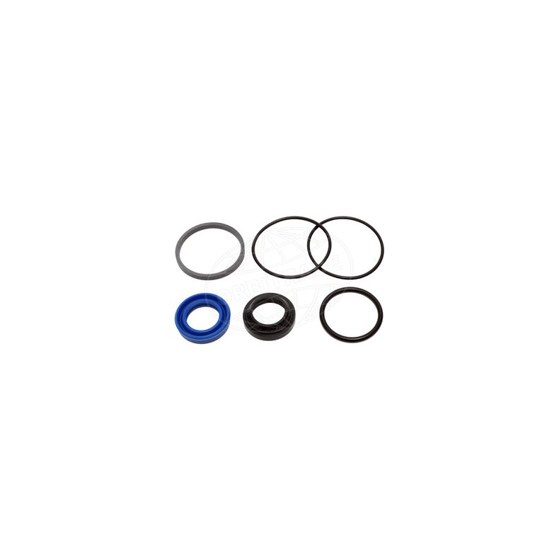 Orbitrade Gasket set powertrim piston