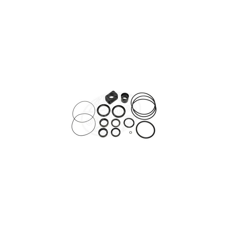 Orbitrade Gasket set lower unit DP-SM